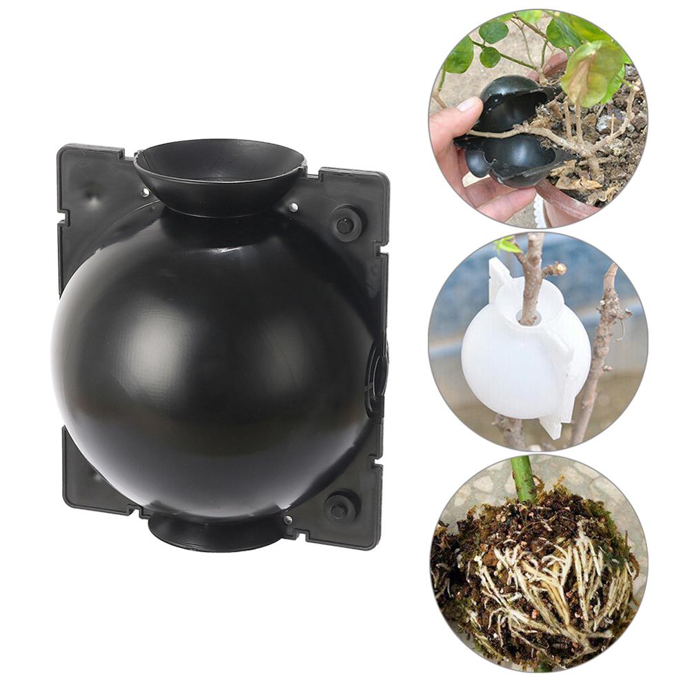Root Watering Spike - Plant High-Pressure Breeding Ball Large Medium