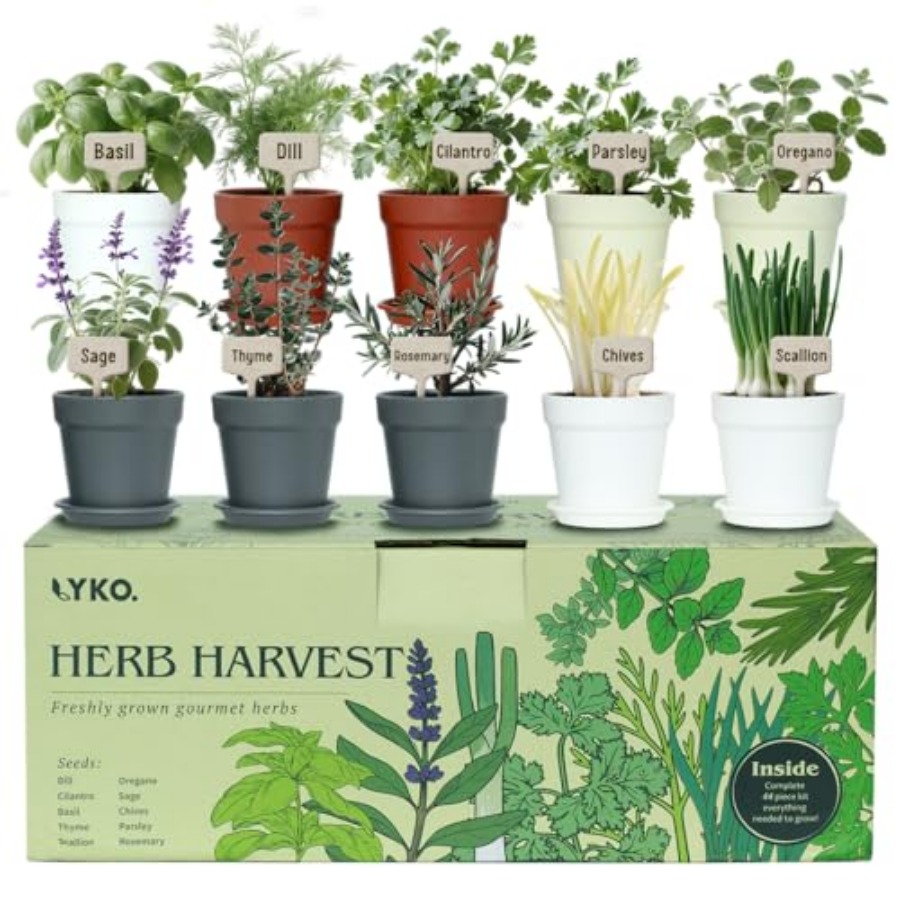 Gardening Tools Set Gift - 10 Indoor Herb Garden Kit 33pcs