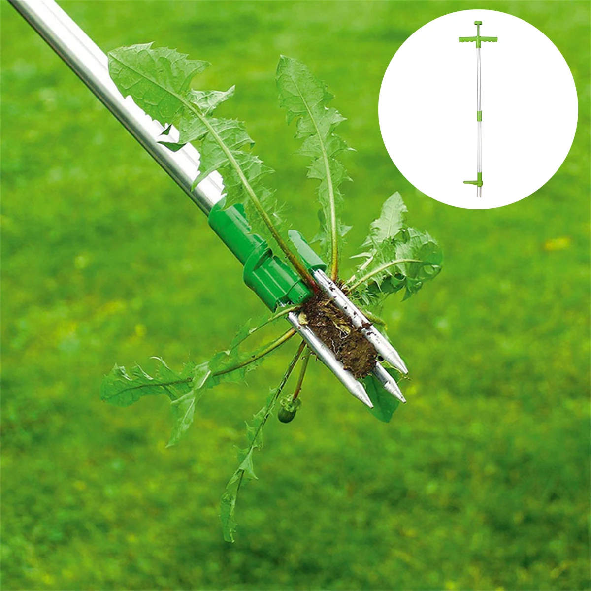 Long Handle Weed Remover Porta - Root Watering Spike ulasan dan harga