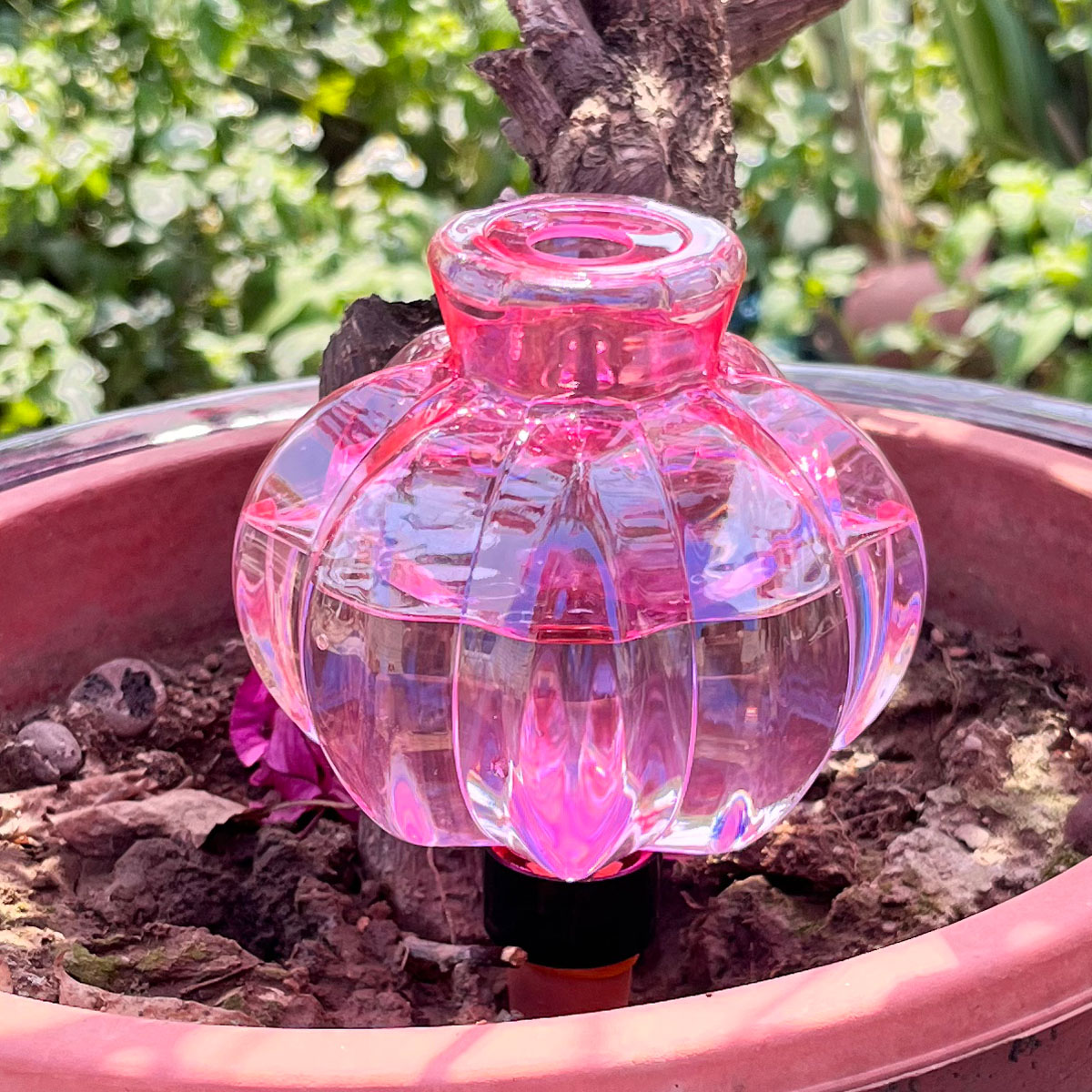 2pcs Self Watering Drip Irriga - Automatic Plant Waterer ulasan dan harga