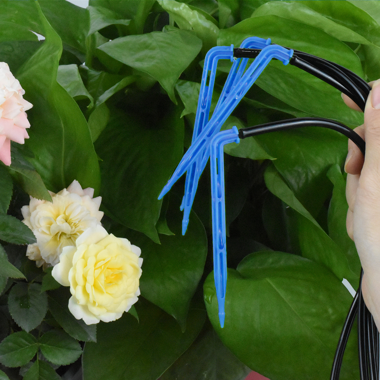 KESLA Drip Irrigation Kit 10-1 - Root Watering Spike ulasan dan harga