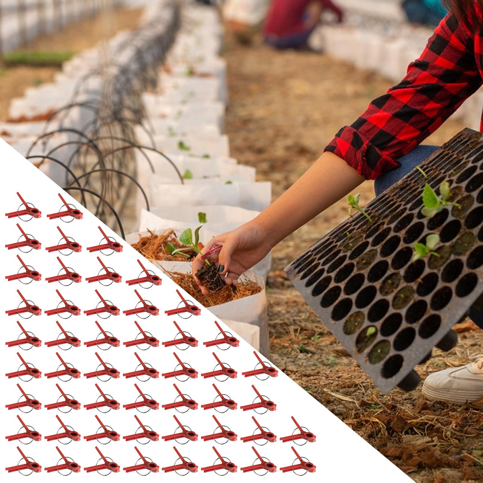 50Pcs Plant Grafting Clip Plas - Gardening Tools And Uses ulasan dan harga