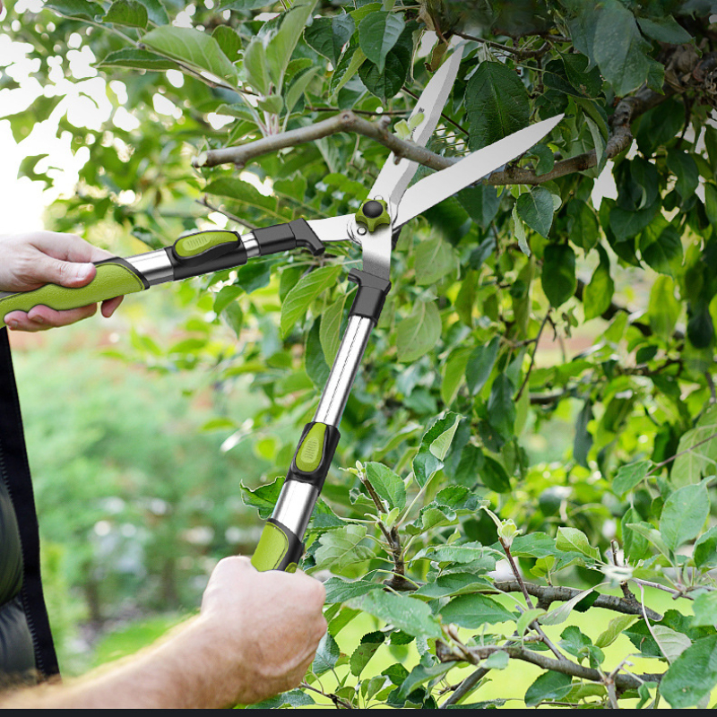 Long Length Scissor Hedge Anvi - Garden Hand Trowel ulasan dan harga