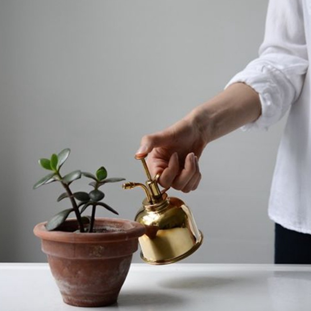 Brass Watering Can Spray Bottl - Gardening Tools Vintage ulasan dan harga