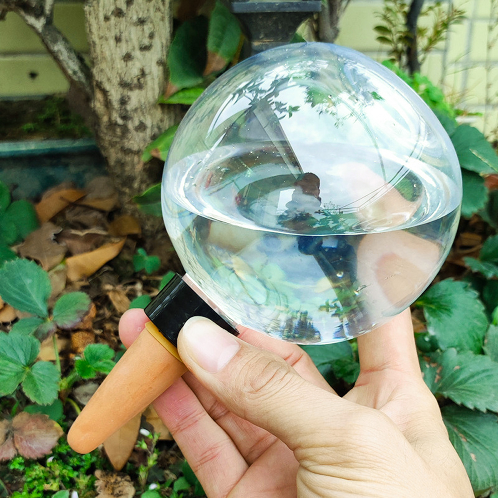 500ML Automatic Plant Watering - Automatic Plant Waterer ulasan dan harga
