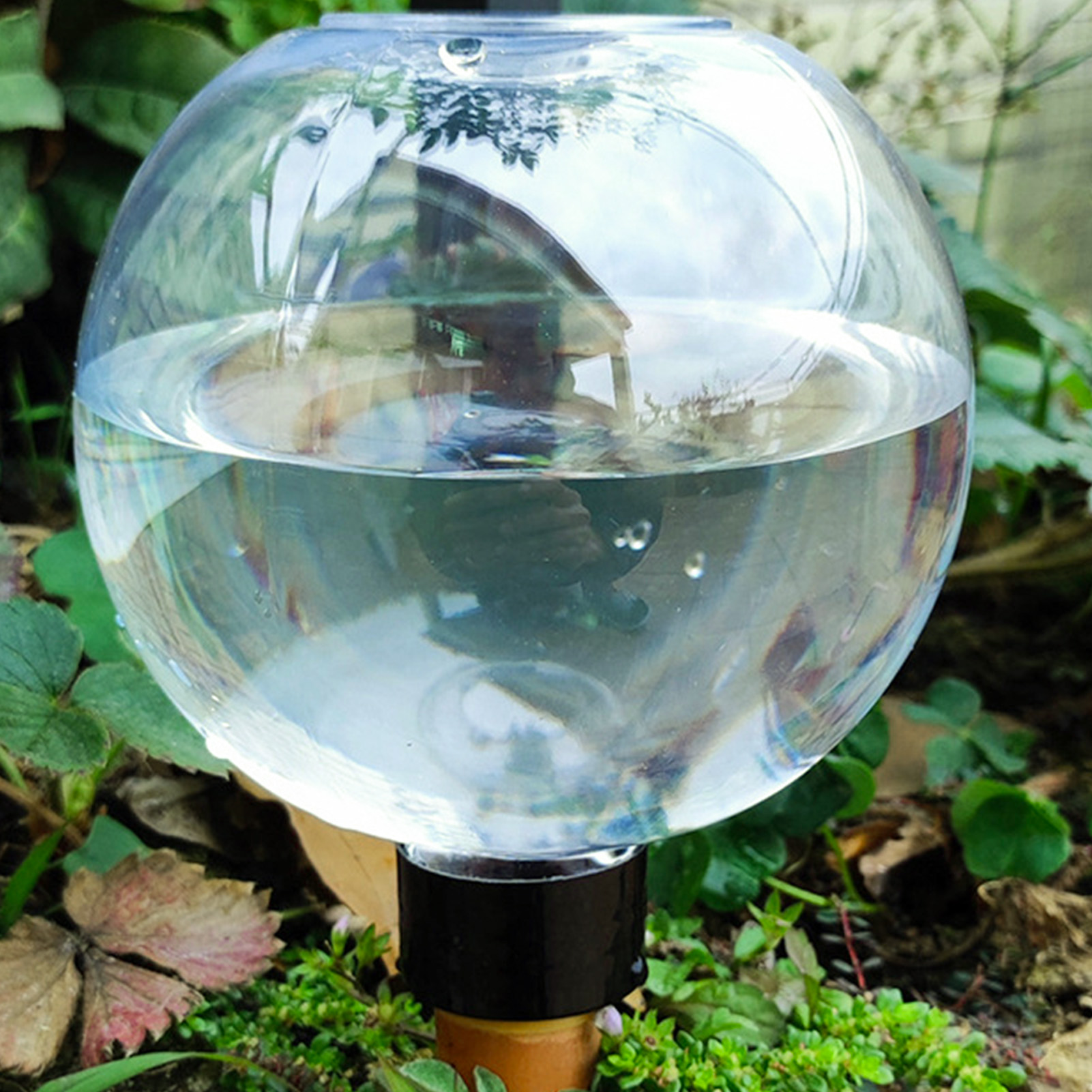 500ML Automatic Plant Watering - Automatic Plant Waterer ulasan dan harga