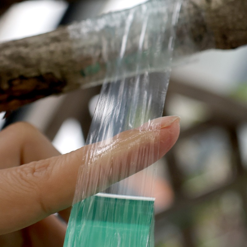Self-Adhesive PE Grafting Tape - Grafting Tape ulasan dan harga