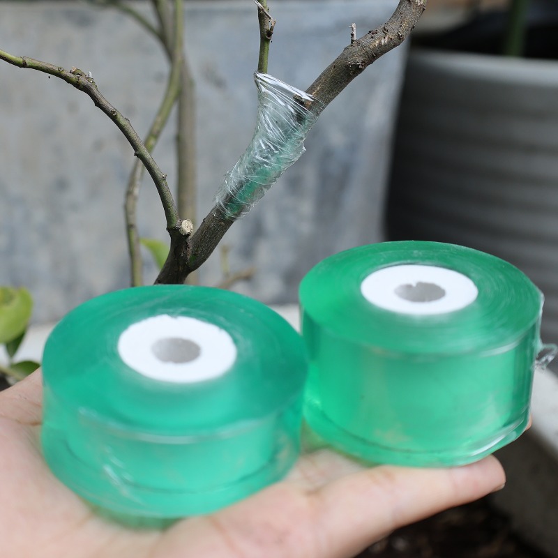 Self-Adhesive PE Grafting Tape - Grafting Tape ulasan dan harga