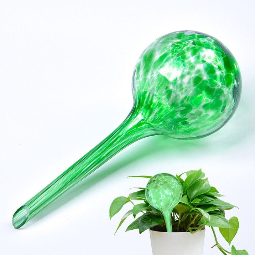 Glass Automatic Plant Watering - Root Watering Spike ulasan dan harga