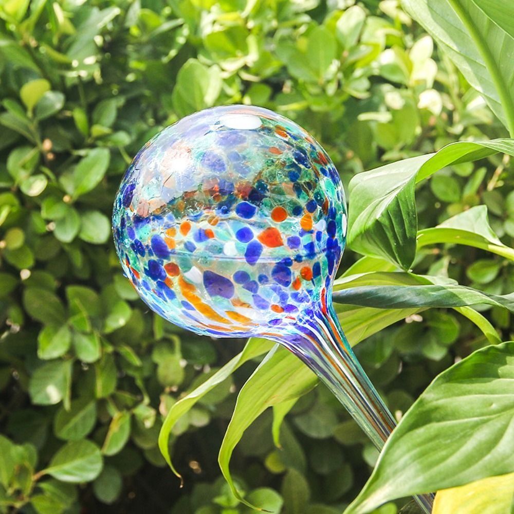 Glass Automatic Plant Watering - Root Watering Spike ulasan dan harga