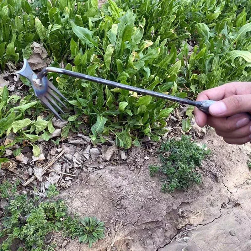Garden Weeders Grass Hand Weed - Gardening Tools To Remove Grass ulasan dan harga