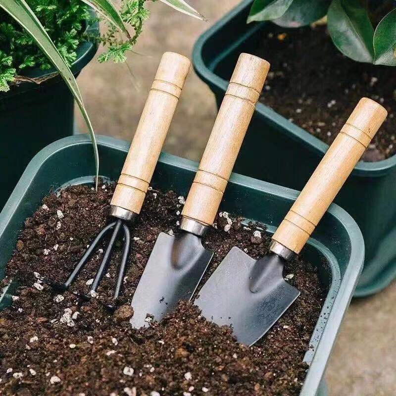 3PC/1Set Mini Gardening Tools  - Gardening Tools Spade ulasan dan harga