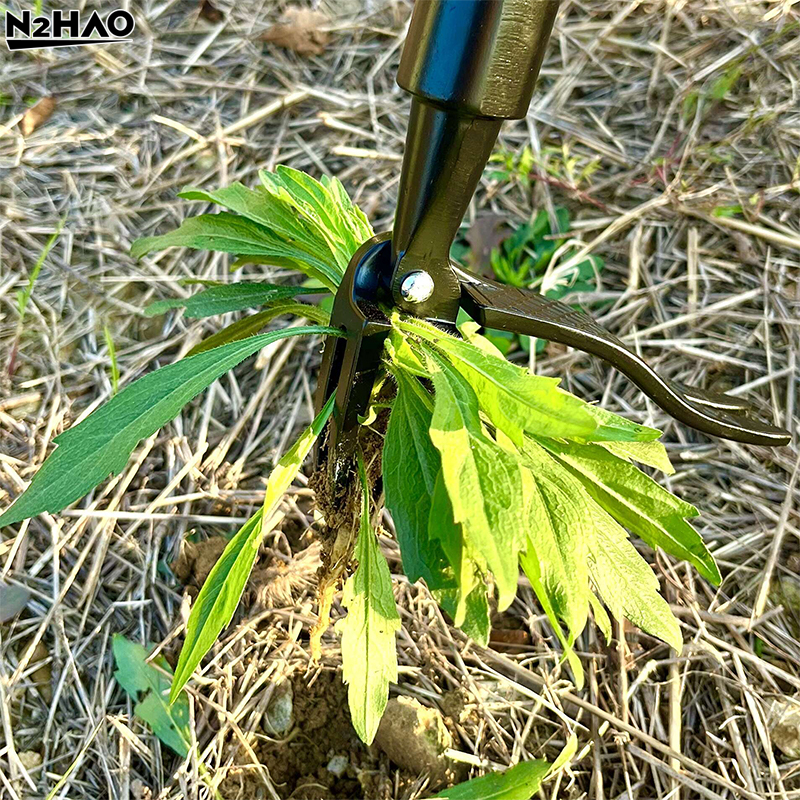 Stainless Steel Weeders Hand V - Gardening Tools To Remove Grass ulasan dan harga