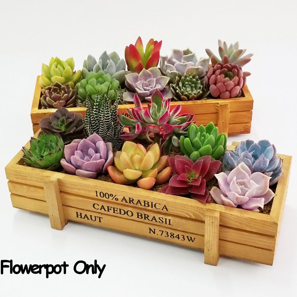 1 PC Tools Garden Decor Trough - Gardening Tools Vintage ulasan dan harga