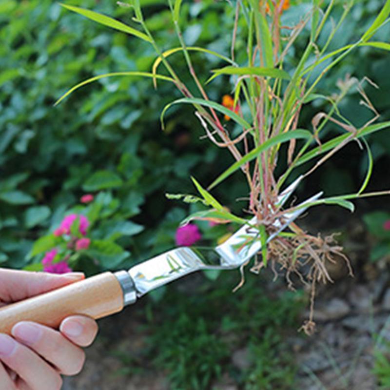 Grass Remover Multifunctional  - Gardening Tools To Remove Grass ulasan dan harga