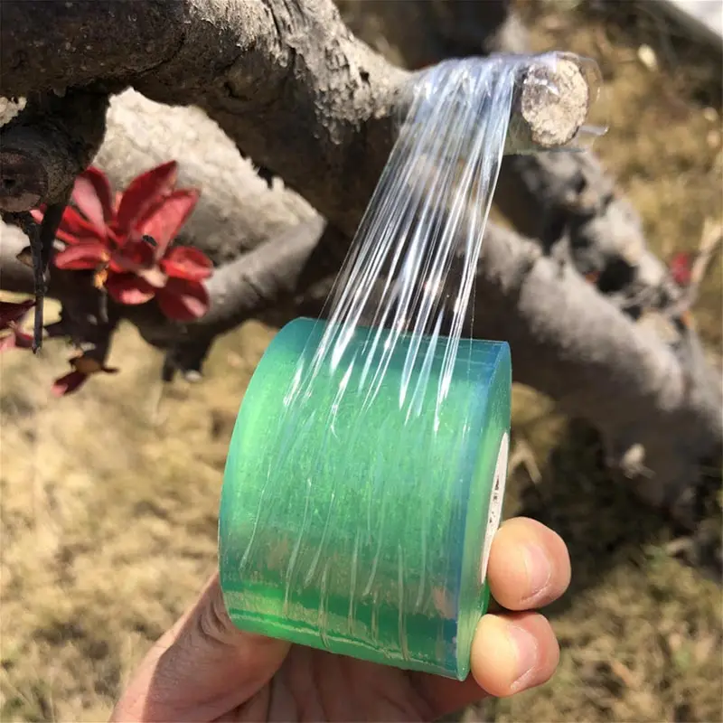 Plant Grafting Specific Film E - Grafting Tape ulasan dan harga