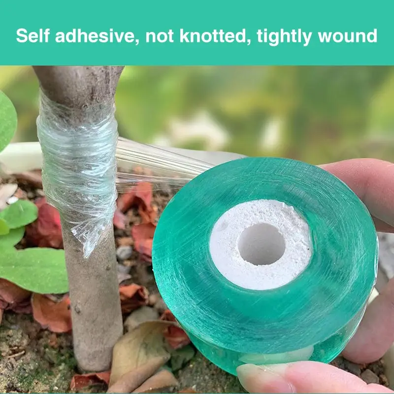 Plant Grafting Specific Film E - Grafting Tape ulasan dan harga