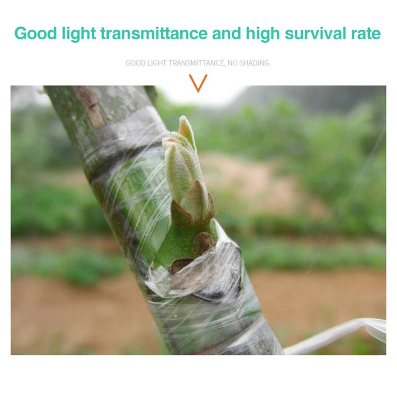 Plant Grafting Specific Film E - Grafting Tape ulasan dan harga