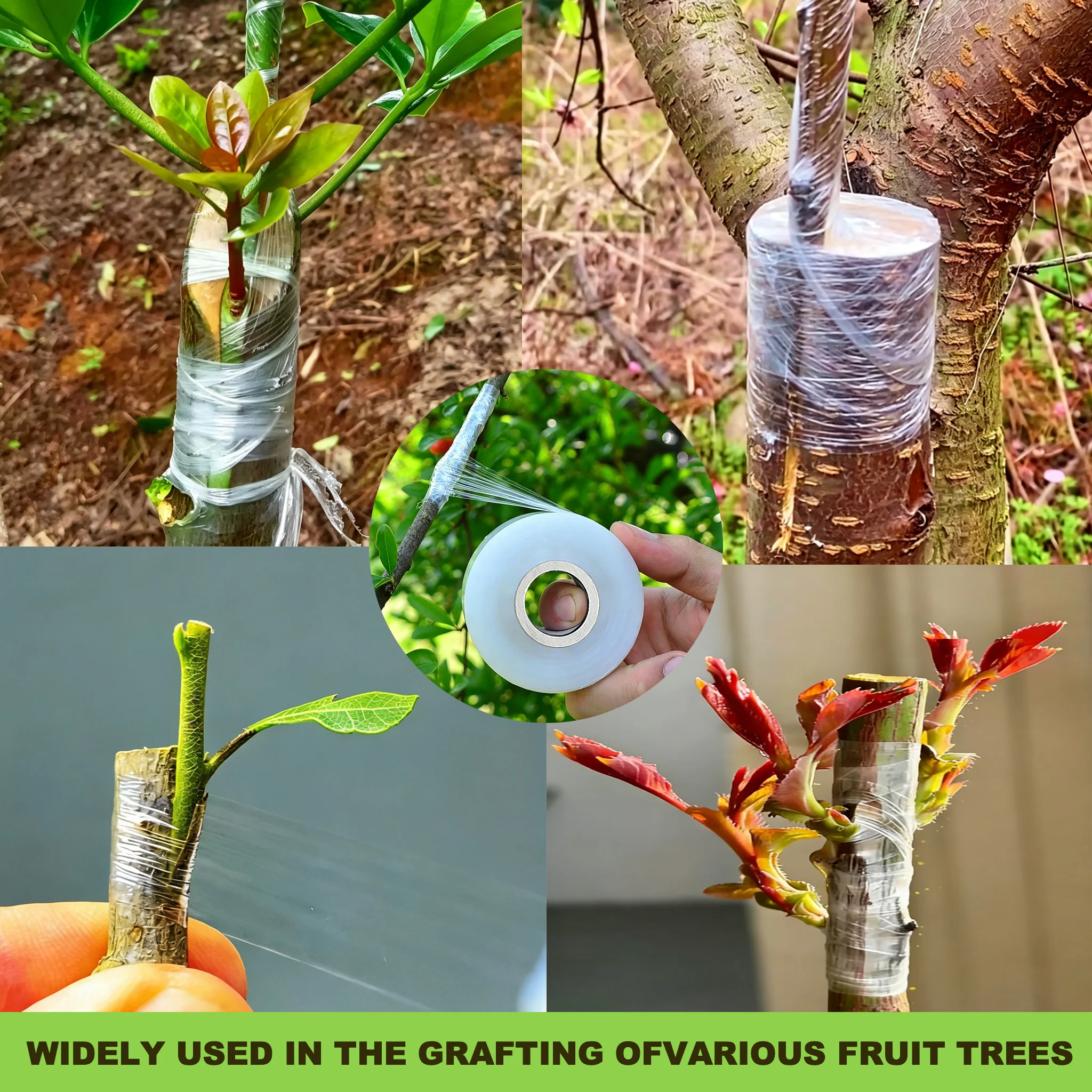 Self-adhesive PE Grafting Tape - Grafting Tape ulasan dan harga