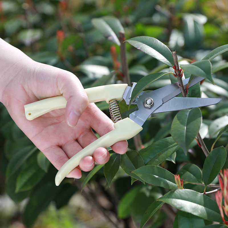 1PC Stainless Steel Pruning Sc - Garden Hand Trowel ulasan dan harga