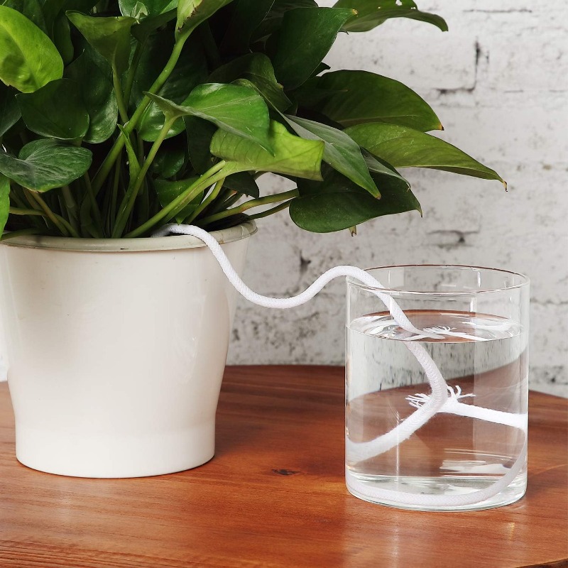 4/5/6mm Self-Watering Cotton R - Root Watering Spike ulasan dan harga