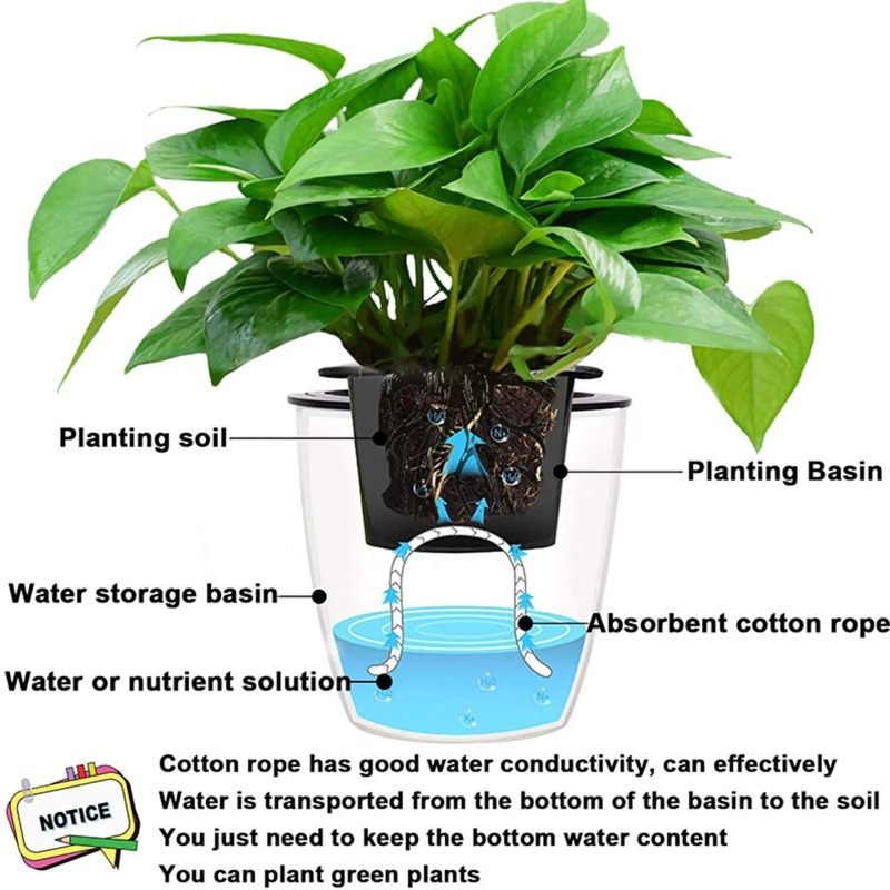 4/5/6mm Self-Watering Cotton R - Root Watering Spike ulasan dan harga
