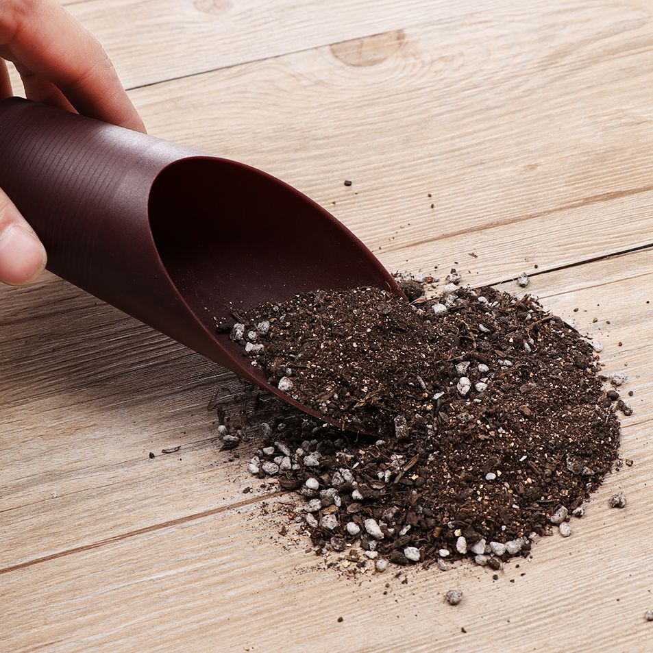 1PC Plastic Soil Shovel Cup Fo - Gardening Tools Spade ulasan dan harga